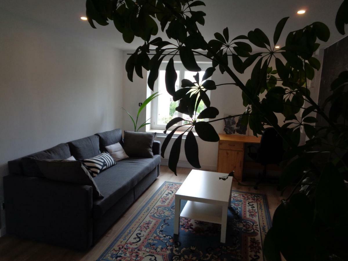 Appartement Independant Le Panassa, Centre Ville, Garage Prive แซงต์-เอเตียน ภายนอก รูปภาพ